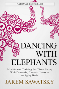 book cover of Dancing with Elephants.