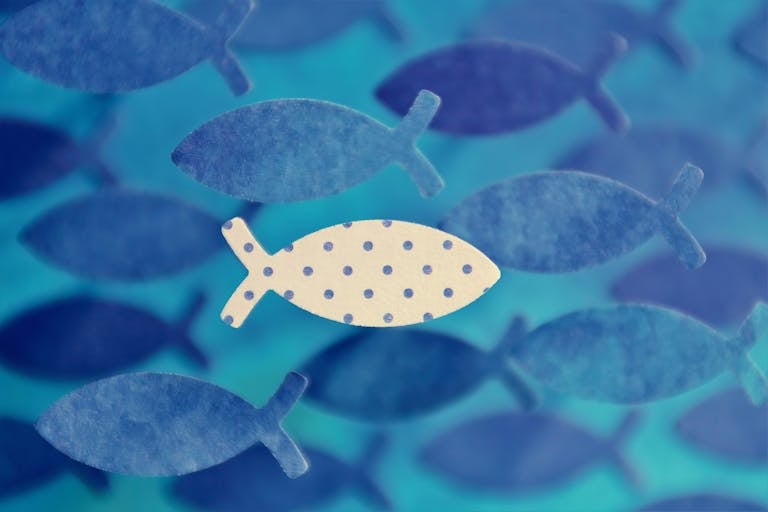 Artistic fish pattern showcasing uniqueness with one polka dot fish in a blue sea theme.