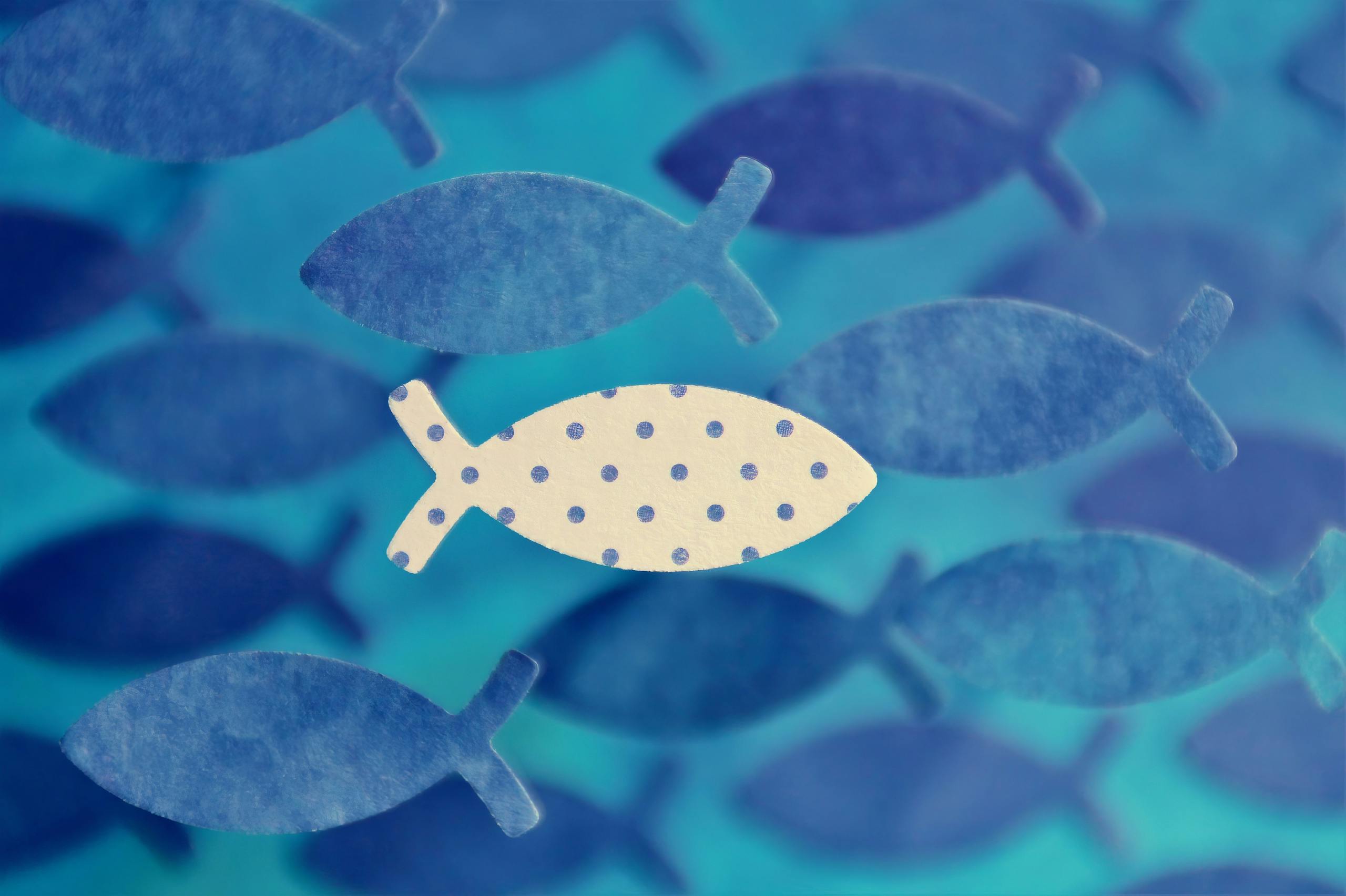 Artistic fish pattern showcasing uniqueness with one polka dot fish in a blue sea theme.